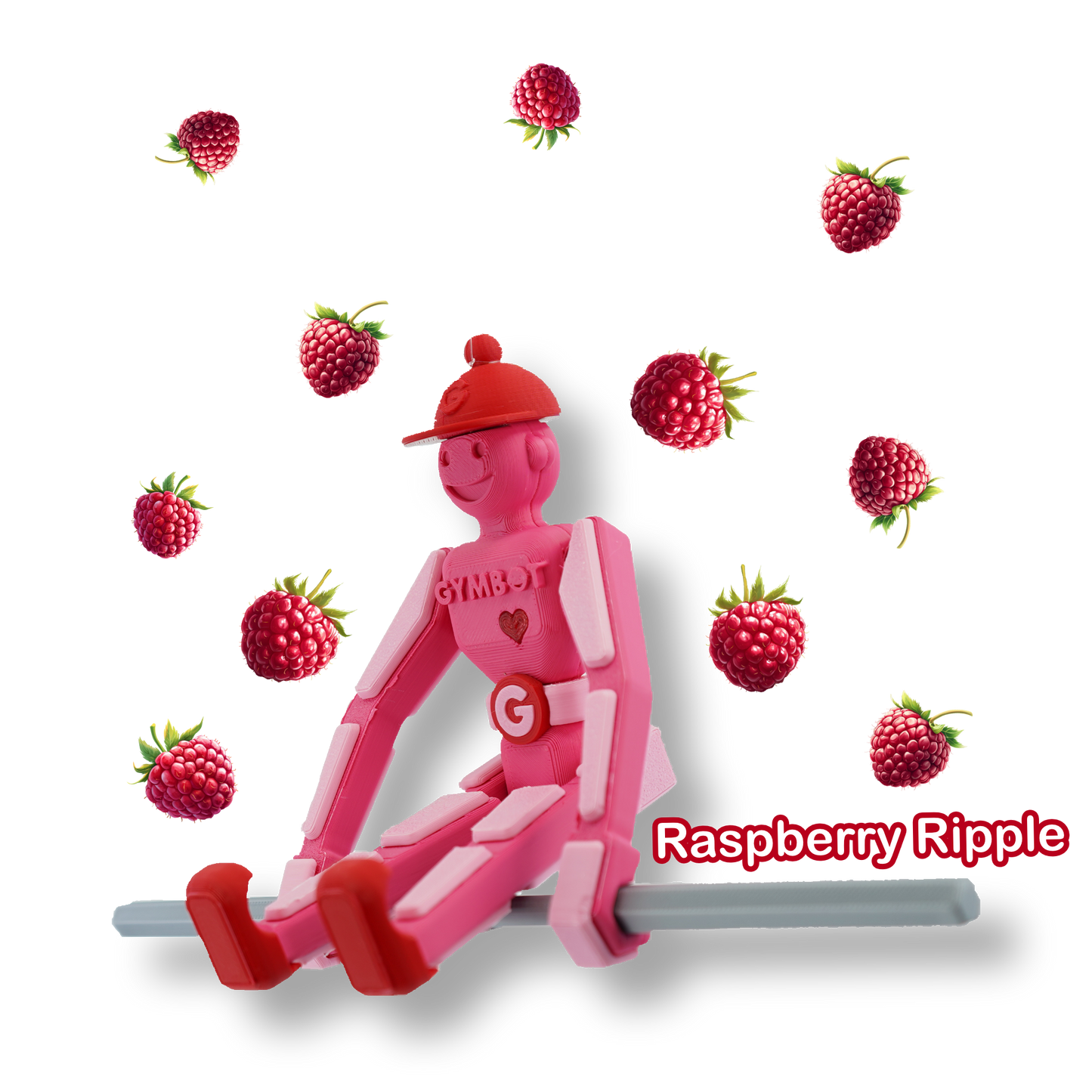 Gymbot - Raspberry Ripple - Assembled