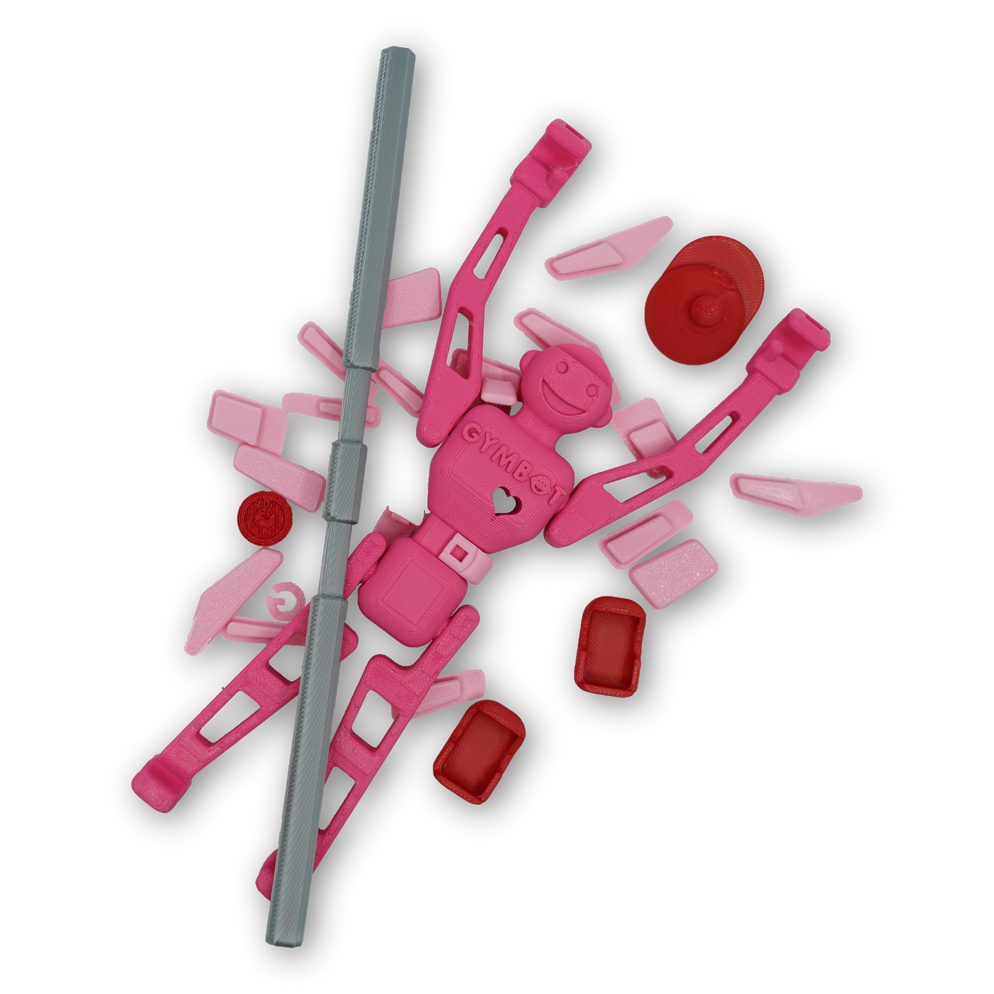 Gymbot - Raspberry Ripple - Partially Assembled Kit